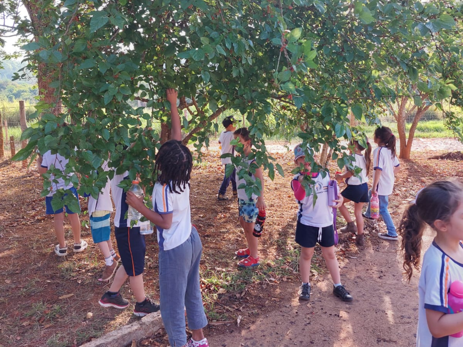 Visita Guiada APAE e EM Dulcinea Gomes Torres