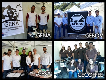 Grupos de estudo GENA, GEBOV, GESA e GECOFFEE 4 3 PRONTO
