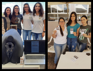 Apresentação dos Grupos e Núcleos de estudos Apresentação dos Grupos e Núcleos de estudos