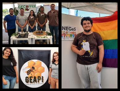 Apresentação dos Grupos e Núcleos de estudos Apresentação dos Grupos e Núcleos de estudos