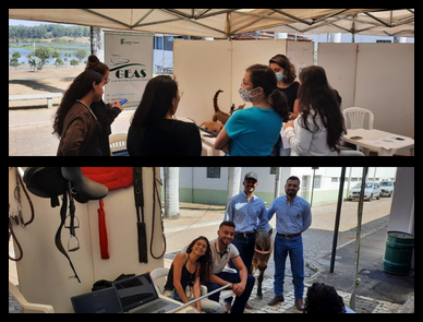 Apresentação dos Grupos e Núcleos de estudos Apresentação dos Grupos e Núcleos de estudos