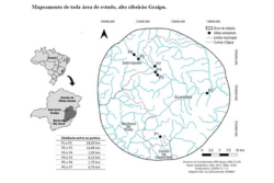 Elisângela Eixo 2 2